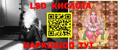 кокс Можга