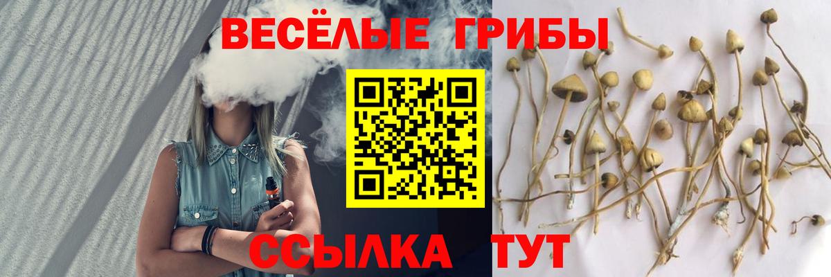 Учалы  Галлюциногенные грибы Cubensis  Псилоцибиновые грибы мухоморы  Вход с VPN 